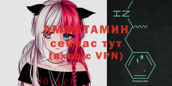 ECSTASY Белокуриха
