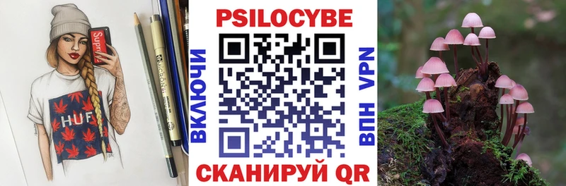 Купить где  Щёкино  Галлюциногенные грибы MAGIC MUSHROOMS 